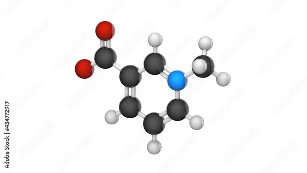 Trigonelline (Coffearine, Gynesine, Trigenolline) is an alkaloid with chemical formula C7H7NO2. Chemical structure model: Ball and Stick. 3D render. Seamless loop. White background