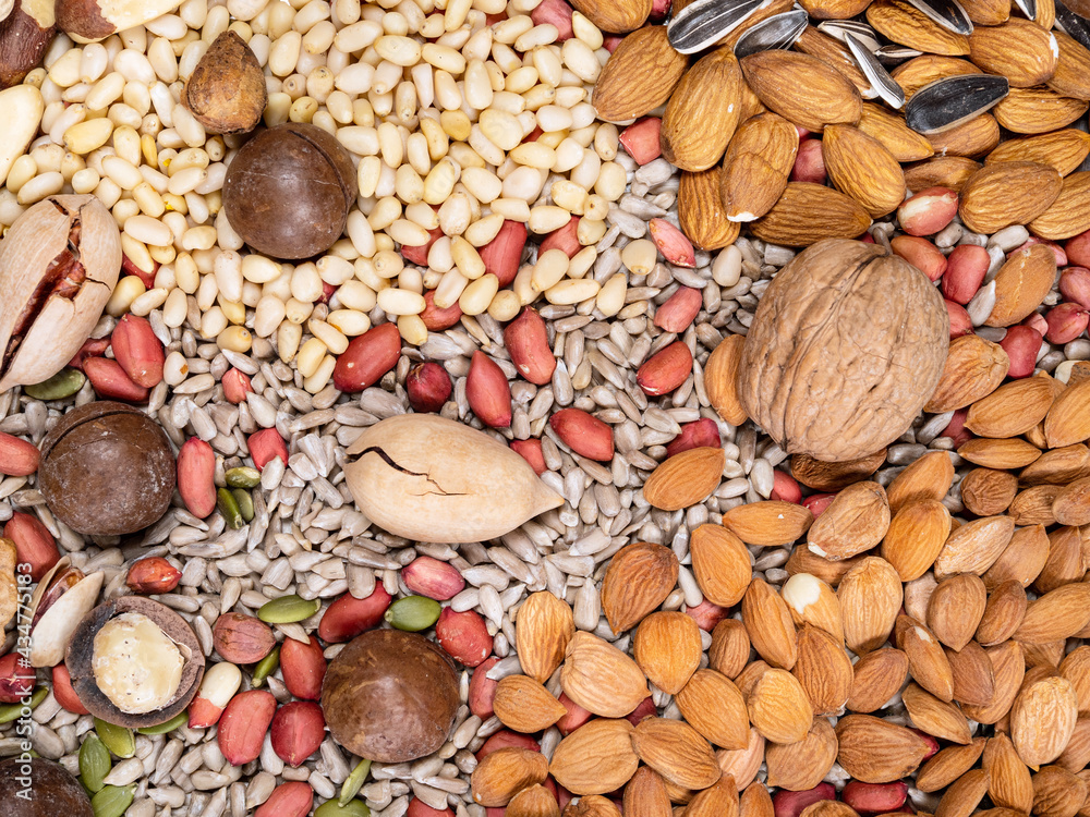 Naklejka premium top view of various nuts and seeds