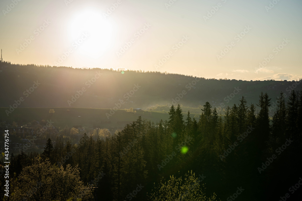 beautiful landscape in the sun, incredible wildlife beautiful landscape in the sun, incredible wildlife