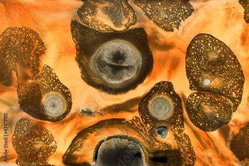 Fluid liquid art background. Orange alcohol ink pattern, outer space wallpaper, hot lava concept. exoplanet ocean