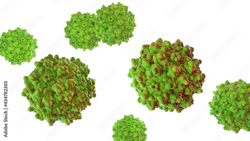 Adeno-associated viruses, 3D illustration Adeno-associated viruses, 3D illustration