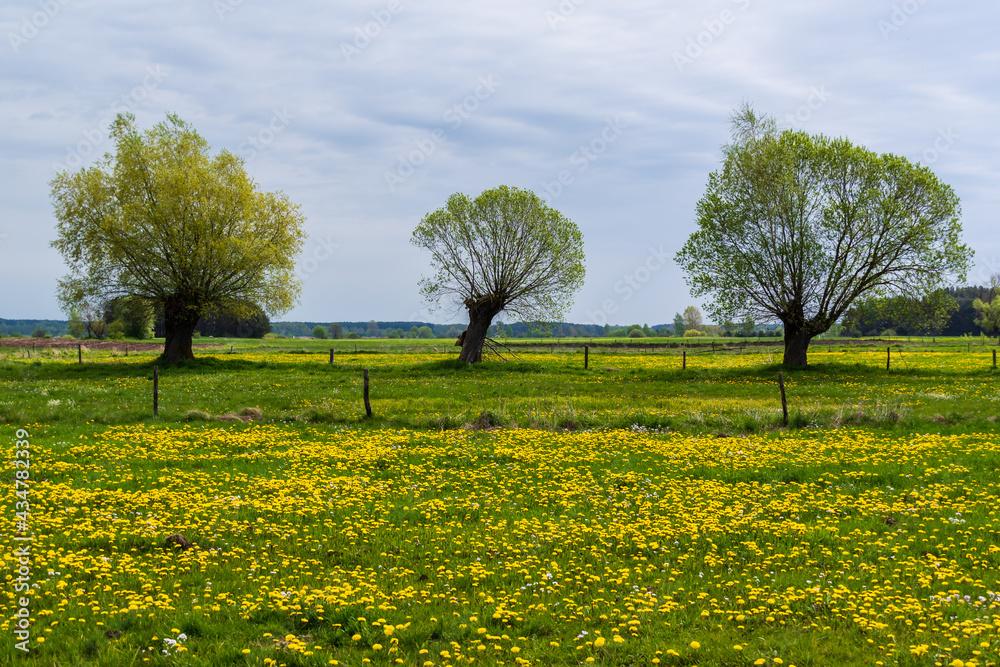Krajobraz wiejski Podlasia, Polska
