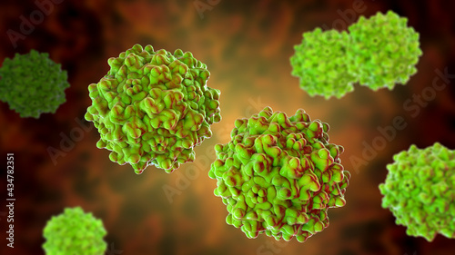 Adeno-associated viruses, 3D illustration photo