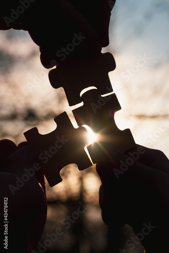 Connect the appropriate puzzles into a whole, silhouettes against the sky