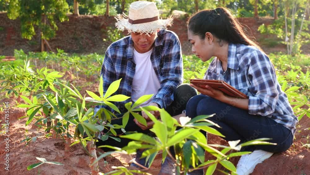 The new generation of farmers are examining the physical properties of