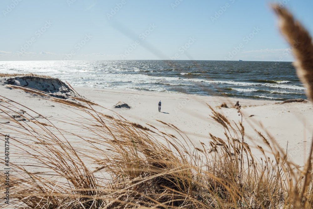 The sandy beach on the Baltic Sea coast near the town of Baltiysk. Baltic Spit - obrazy, fototapety, plakaty 