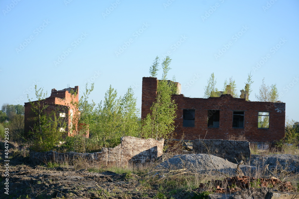 Old abandoned building. Trees grow on bricks, ruins