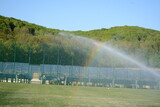 Watering the training football field, rainbow
