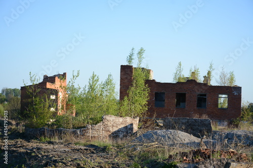 Old abandoned building. Trees grow on bricks, ruins © Olena
