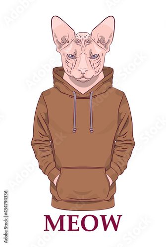 Cat in a brown sweatshirt or hoodie. Vector print illustration for sweatshirts, sweatshirts, t-shirts, posters, cards, pet supplies