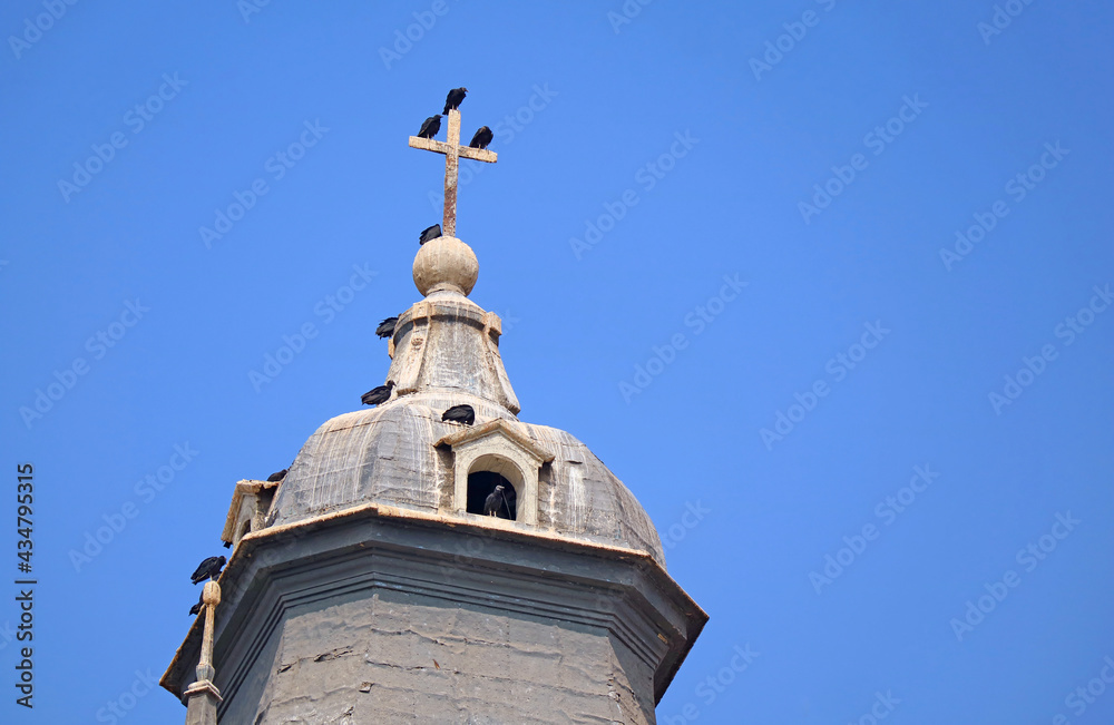 Flock of Condors Perching on the Cross of Lima Cathedral's Bell Tower, the Historic Center of Lima, Peru Flock of Condors Perching on the Cross of Lima Cathedral's Bell Tower, the Historic Center of Lima, Peru
