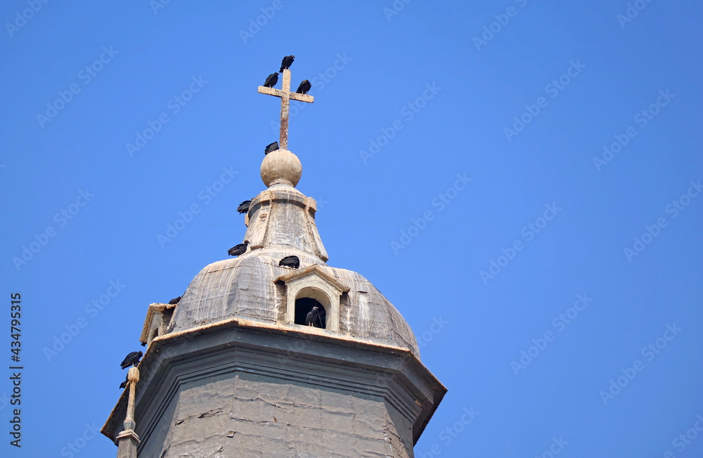 Flock of Condors Perching on the Cross of Lima Cathedral's Bell Tower, the Historic Center of Lima, Peru