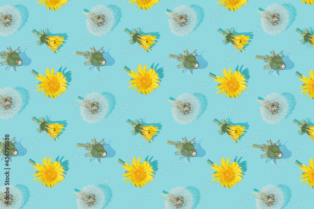 Spring pattern made from yellow, green and white dandelions. On bright light blue background. Minimal  concept.