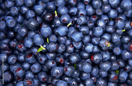 Background of blueberry fruit. Drops of water fall on ripe sweet blueberries. A collection of blue and black berries. A conceptual image of food. selective focus, copy space, supermarket advertising