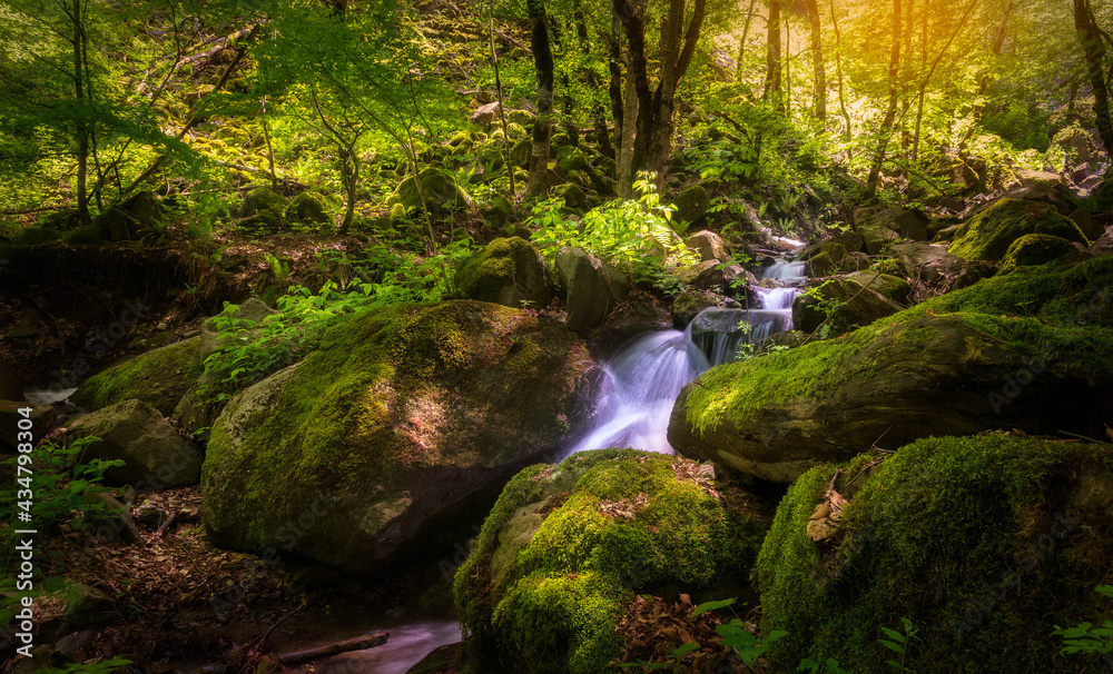 Mountain waterfall in spring forest