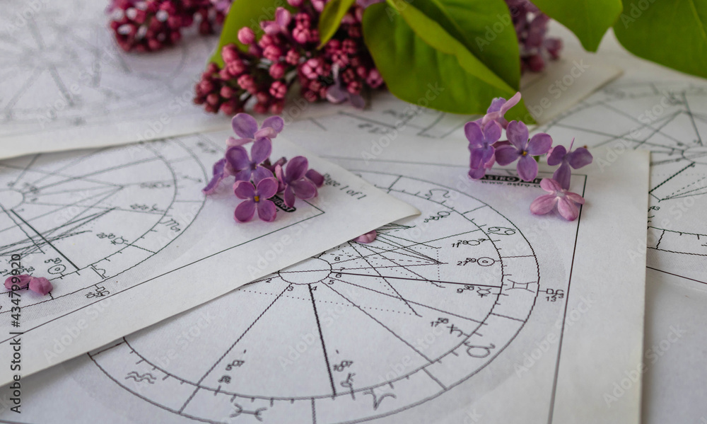 Printed astrology charts with tiny lilac flowers and a part of a branch - obrazy, fototapety, plakaty 