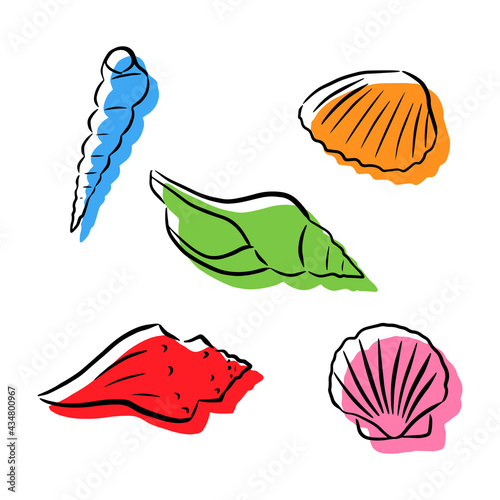 Set of seashells with a black outline and a colored silhouette. Vector illustration for patterns, postal cards, and prints.