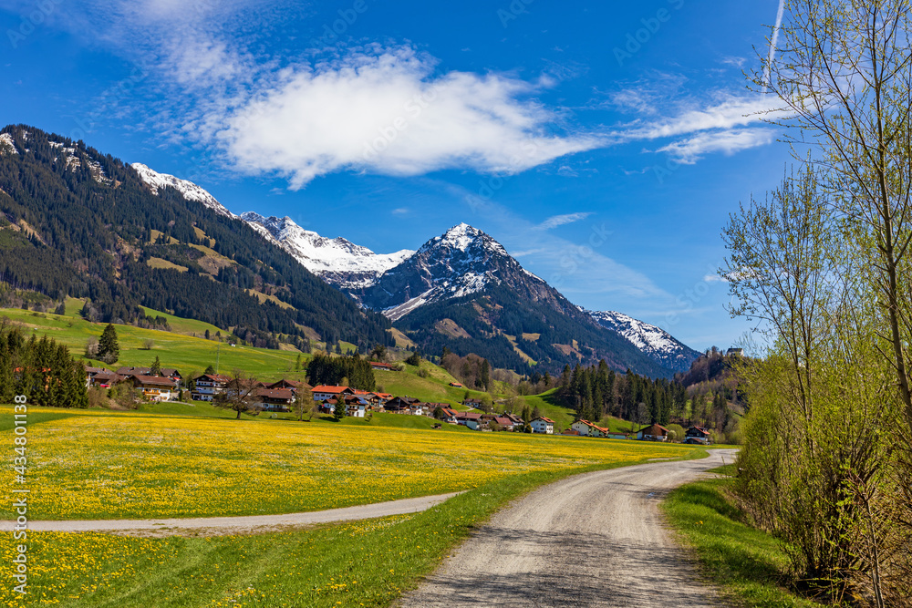 Naklejka premium Allgäu - Frühling - Radweg - Löwenzahn - Oberstdorf - Rubihorn