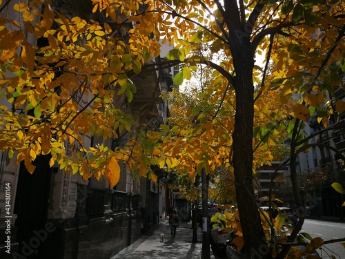 autumn in the park