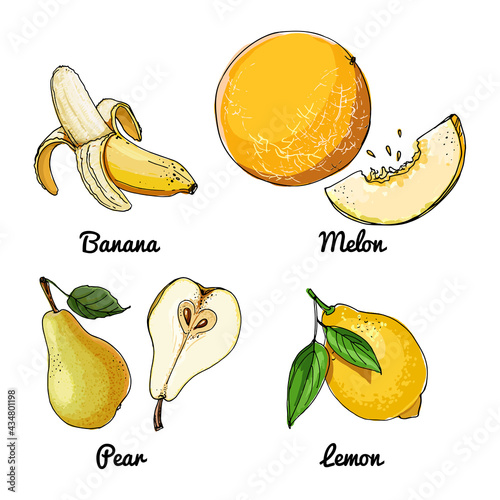 Vector food icons of fruits. Colored sketch of food products. Banana, melon, pear, lemon. Yellow