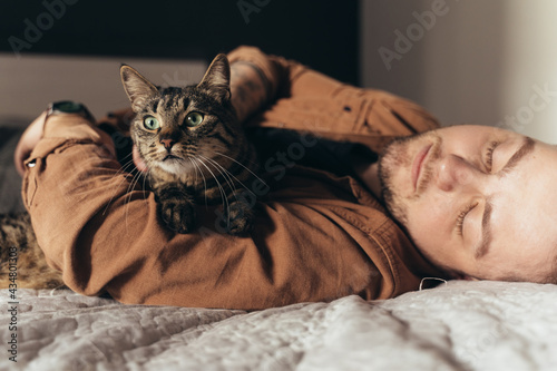 Striped cat laying at his bearded owner and looking away while relaxing