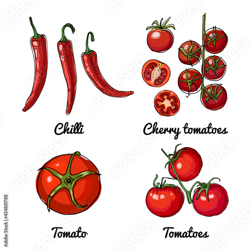 Vector food icons of vegetables and spices, herbs. Colored sketch of food products. Chili peppers, cherry tomatoes, tomatoes.