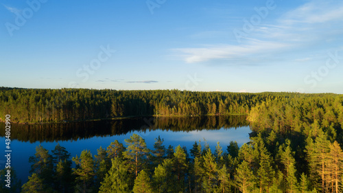 Aerial view of blue lake and green pine forests on a sunny summer day in Finland. drone photography 