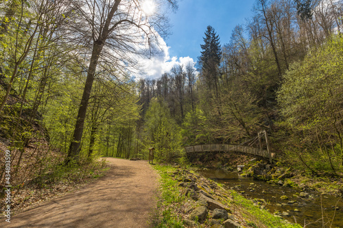 An der Roten Weißeritz