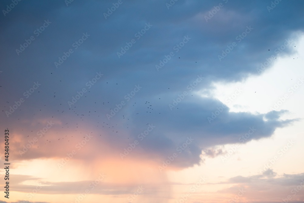 sky, sunset, clouds and birds