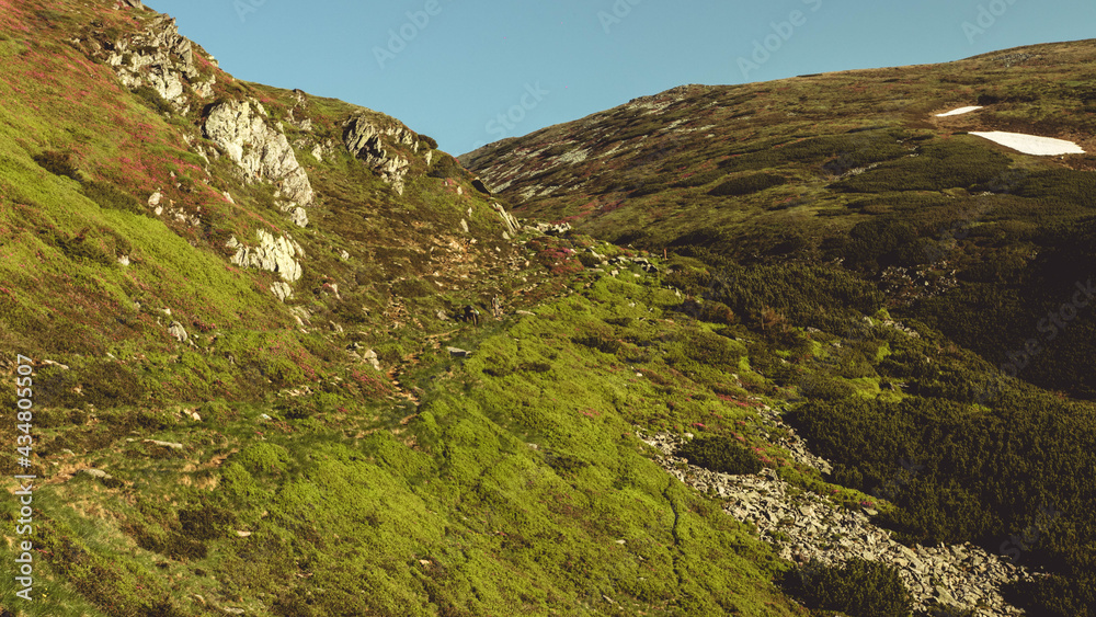 Fototapeta premium Varful Ineu - muntii rodnei