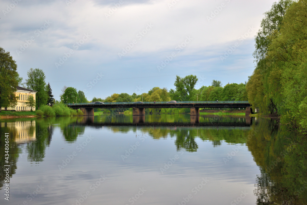 Fototapeta premium View of a living bridge from the bank of the Polisth River