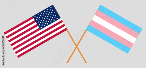Crossed flags of the USA and transgender pride. Official colors. Correct proportion