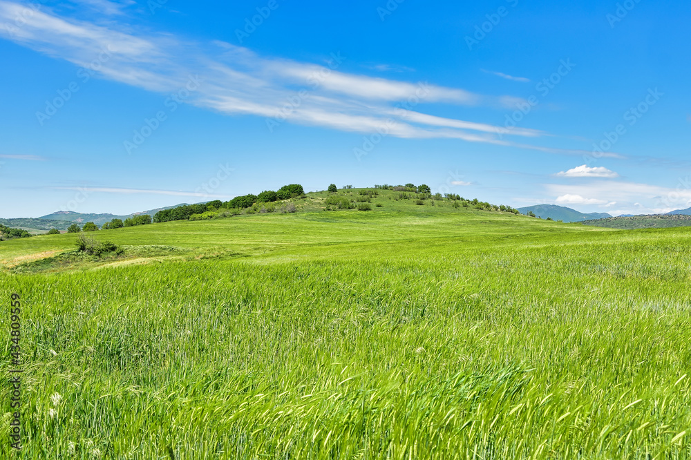 landscape with grass and sky landscape with grass and sky