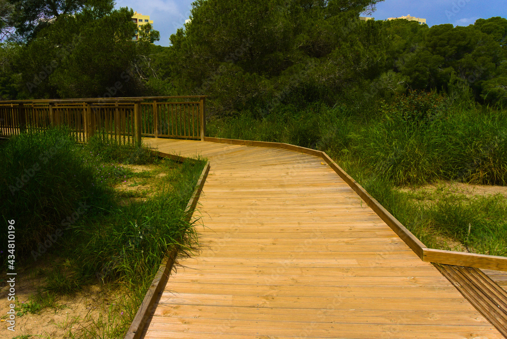 La Devesa del Saler, Albufera de Valencia La Devesa del Saler, Albufera de Valencia