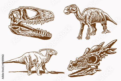 Vector vintage set of dinosaurs and skulls ,paleontological collection	
