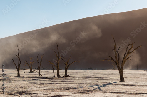wind blowing sand at dead trees of dead vlei in beautiful light setting in front of  sossusveil famous red dunes