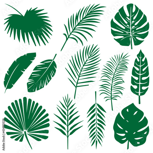 Illustration cards stickers set of tropical leaves	