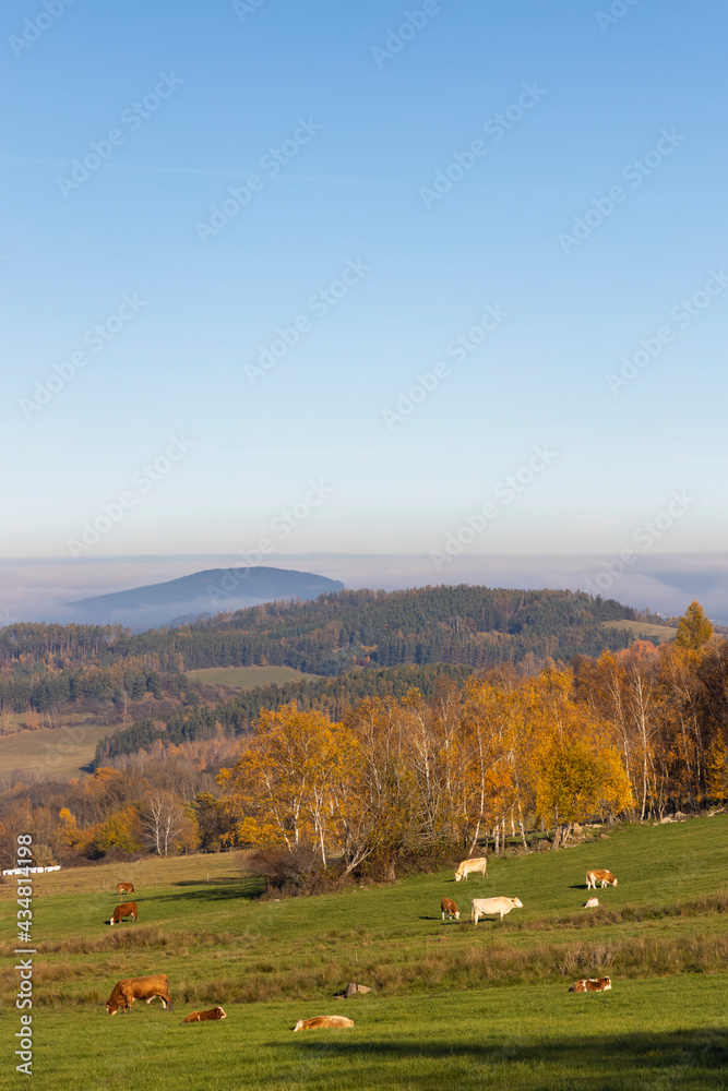 Fototapeta premium Typical Sumava autumn landscape, Southern Bohemia, Czech Republic