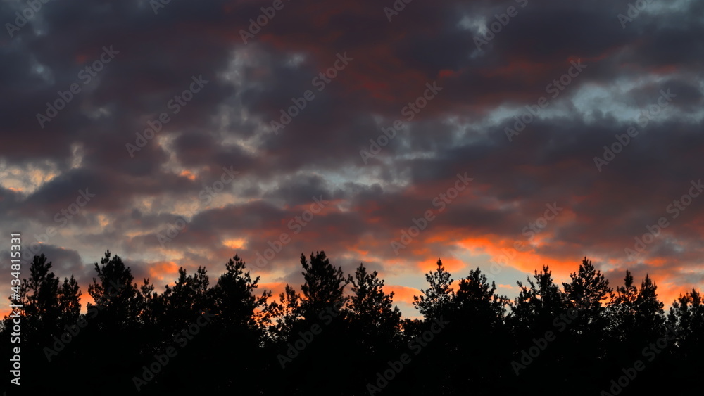 Fototapeta premium zachód słońca nad lasem