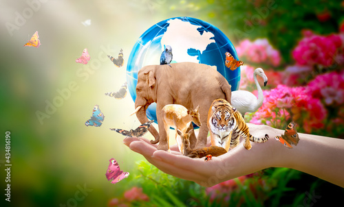 Earth Day or International Day for Biological Diversity concept. Group of animals, butterflies and globe in hand. Saving our planet, protect wildlife nature reserve, protection of endangered species. photo