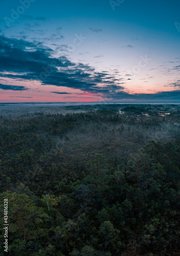 Autumn  Early morning  sunrise  foggy swamp  marshland  nature landscape