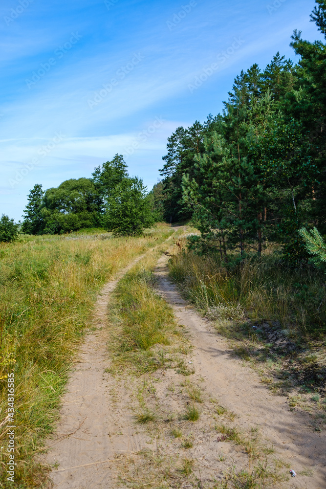 narrow countryside forest road with gravel surface narrow countryside forest road with gravel surface
