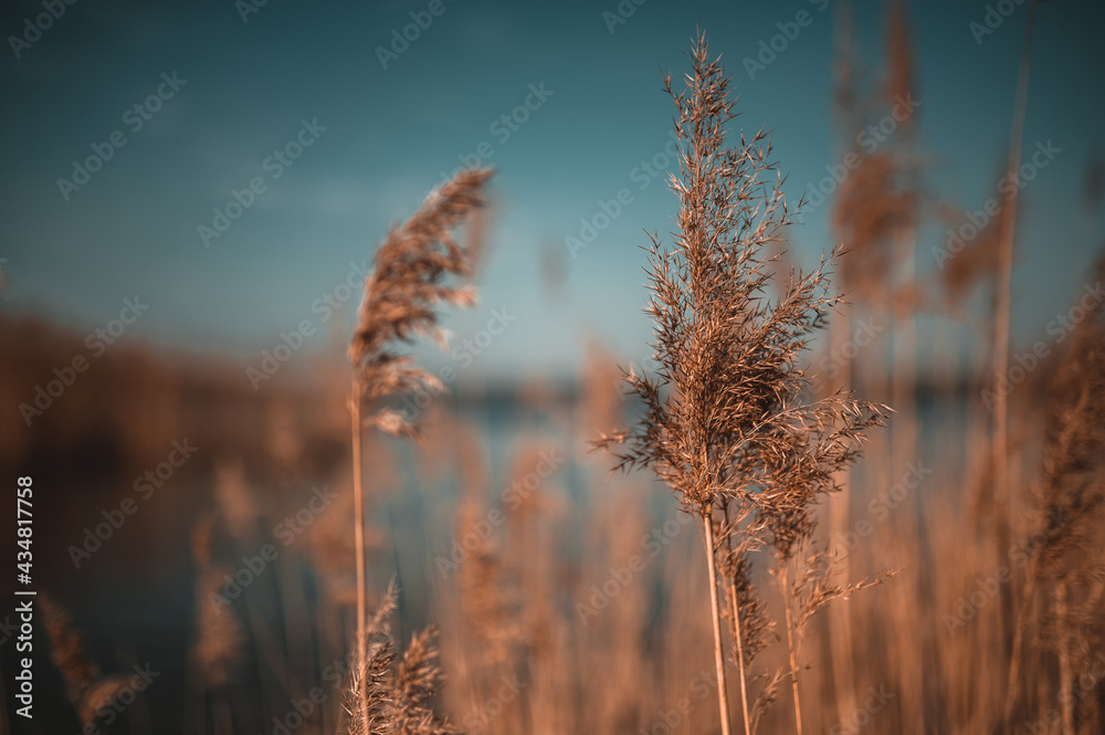 Fototapeta premium Tag am See