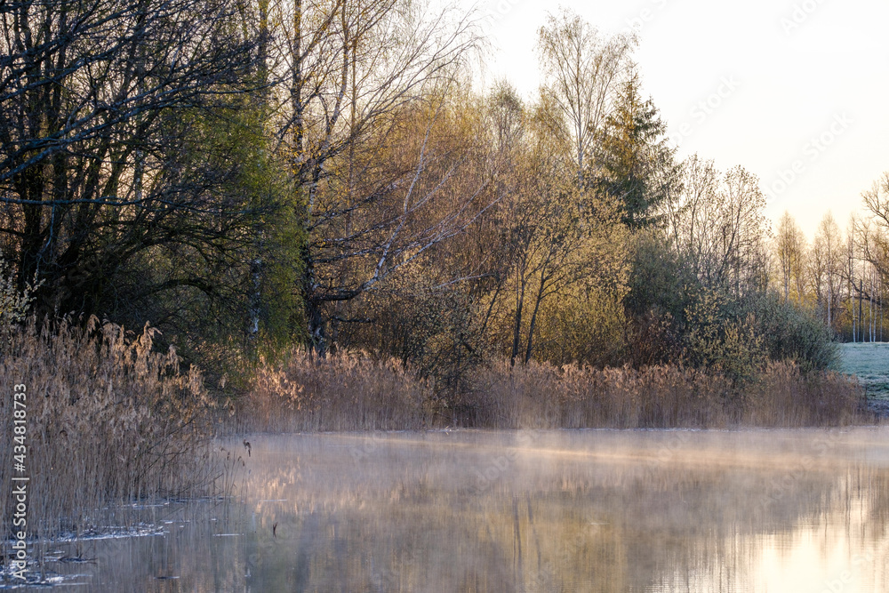 trees by the water with sky reflections