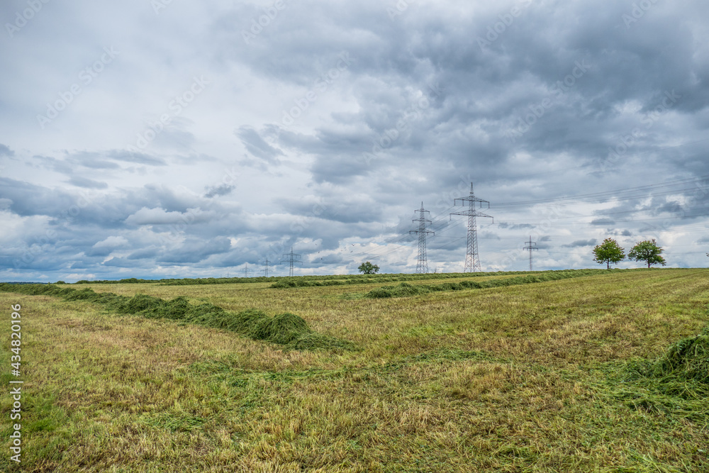 Frisch gemähte Wiese und Strommasten Frisch gemähte Wiese und Strommasten