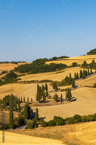 Fototapeta Naklejka Na Ścianę i Meble -  Cipressi di Monticchielo, Typical Tuscan landscape near Montepulciano, Italy