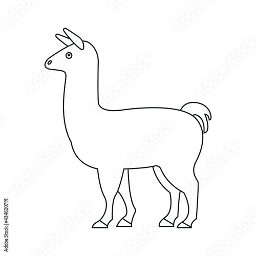 llama line icon vector symbol