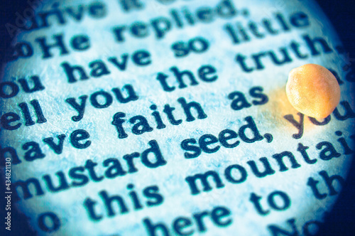 A macro shot of a Bible text with the words of Jesus: Have faith as small as of mustard seed  (New Testament, Gospel of Luke 17,6). Low depth of field.