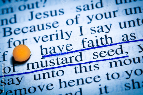 Canvas Print A macro shot of a Bible text with the words of Jesus: Have faith as small as of