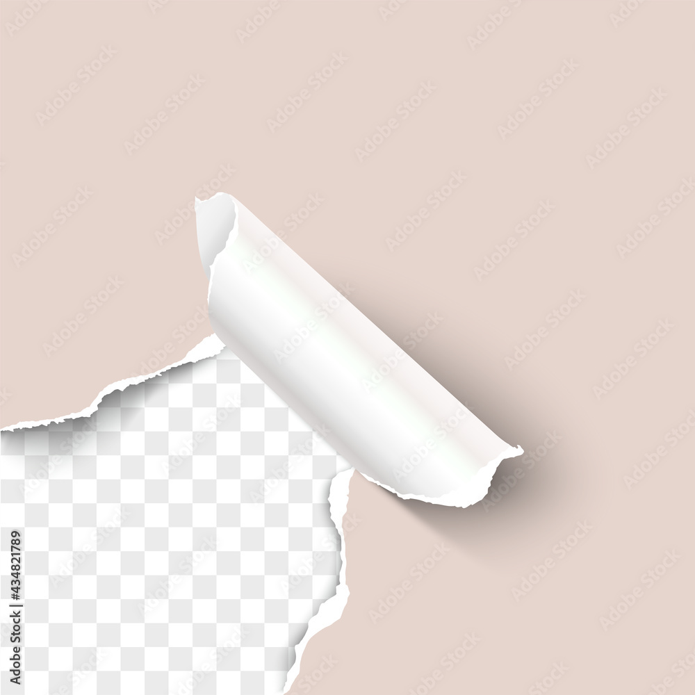 Torn craft paper hole with paper curl over transparent background realistic vector template